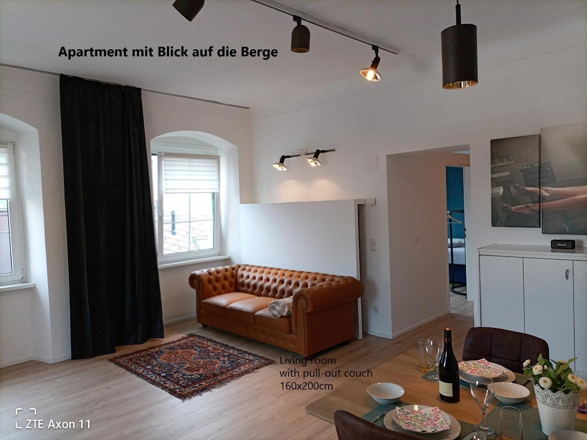 Altstadtwohnungen "Grunberg 1D" & "Gmunden 3D Mit Seeblick" Im Zentrum Von 格蒙登 外观 照片
